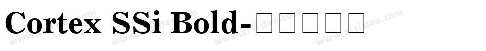Cortex SSi Bold字体转换